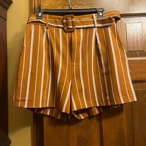 Hayden Los Angeles Rust/Cream Shorts.  Like New.  Sz. Lg.